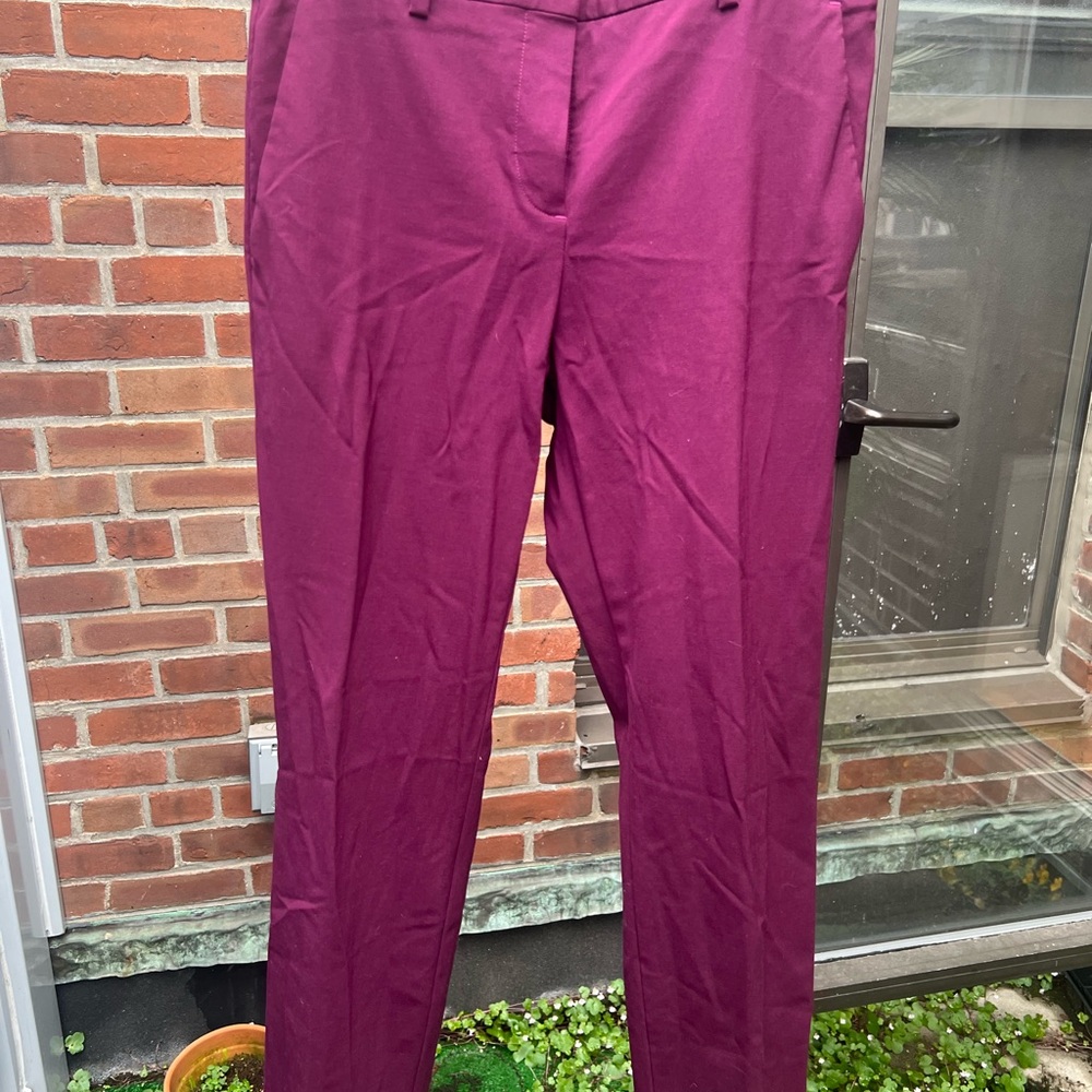 Theory Purple Chinos